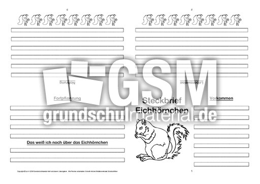 Eichhörnchen-Faltbuch-vierseitig-7.pdf